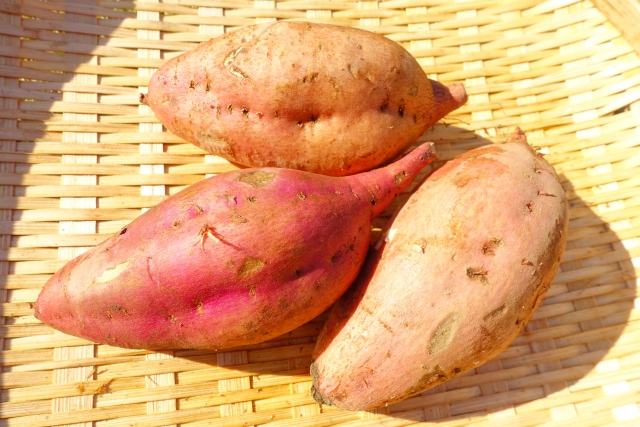 ポイント1：形は「ふっくら紡錘形」