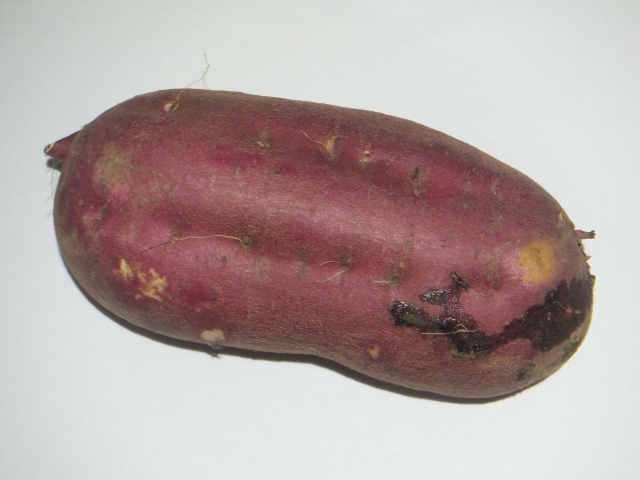 さつまいもの皮についた“黒い跡”の正体は「ヤラピン」