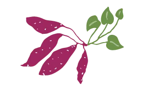 https://oimokabu.com/wp-content/uploads/about-flow-2.webp