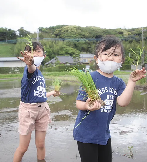 苗植会のようす