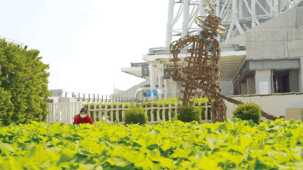 苗植会 スカイツリー