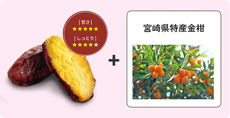 霧島紅かぐら（甘さ☆5　しっとり☆5）＋　宮崎県特産金柑