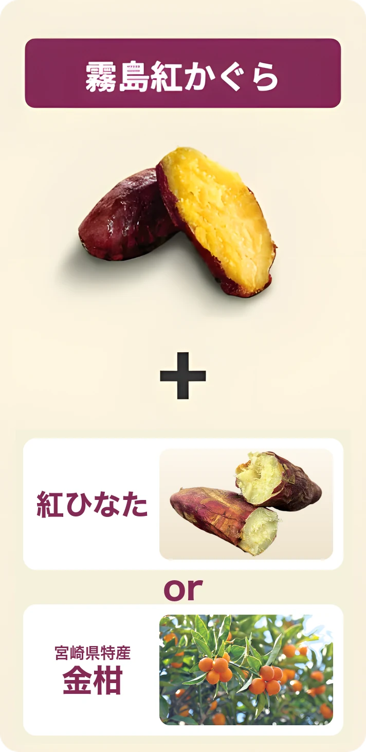 霧島紅かぐら＋紅ひなた または 金柑