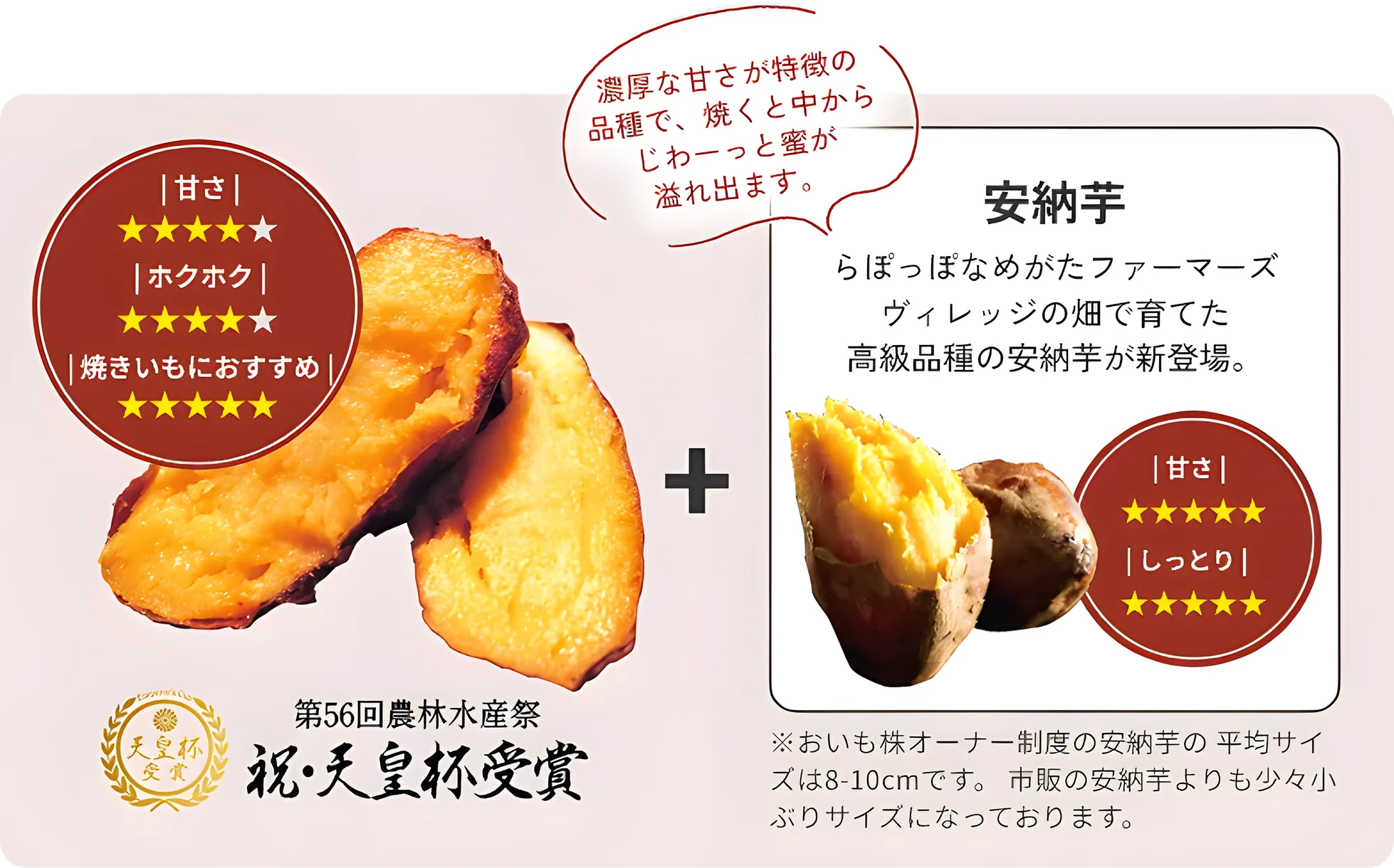 いばらきゴールド[第56回農林水産祭 祝･天皇杯受賞]（甘さ☆4　ホクホク☆4　焼きいもにおすすめ☆5）＋ 安納芋