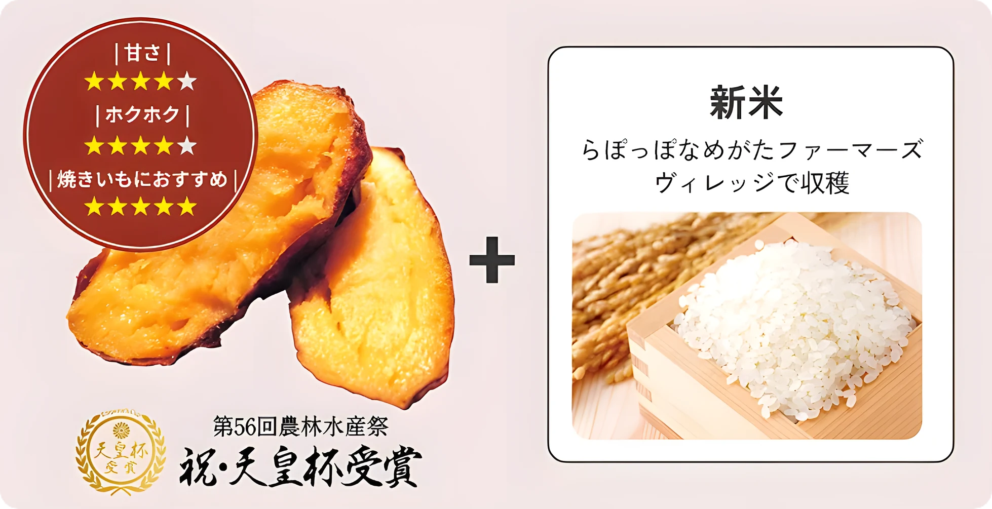 いばらきゴールド[第56回農林水産祭 祝･天皇杯受賞]（甘さ☆4　ホクホク☆4　焼きいもにおすすめ☆5）＋ 新米