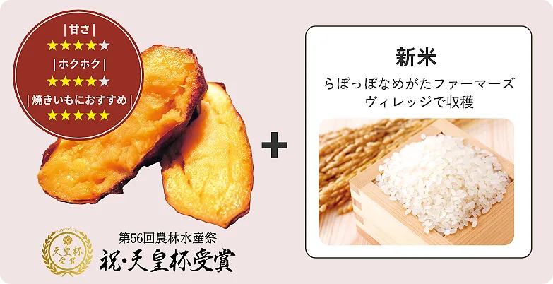 いばらきゴールド[第56回農林水産祭 祝･天皇杯受賞]（甘さ☆4　ホクホク☆4　焼きいもにおすすめ☆5）＋ 新米