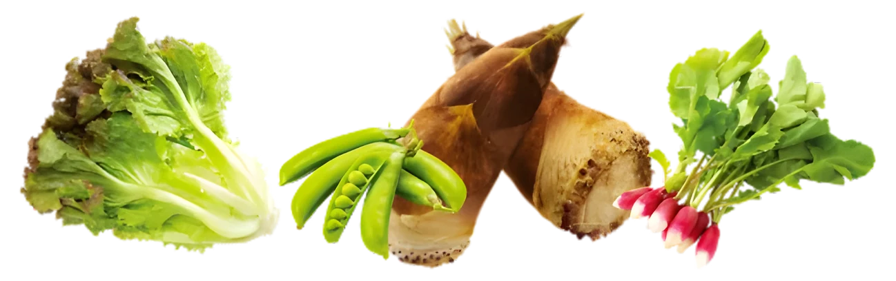 野菜イメージ