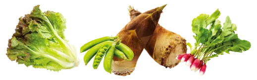 野菜イメージ