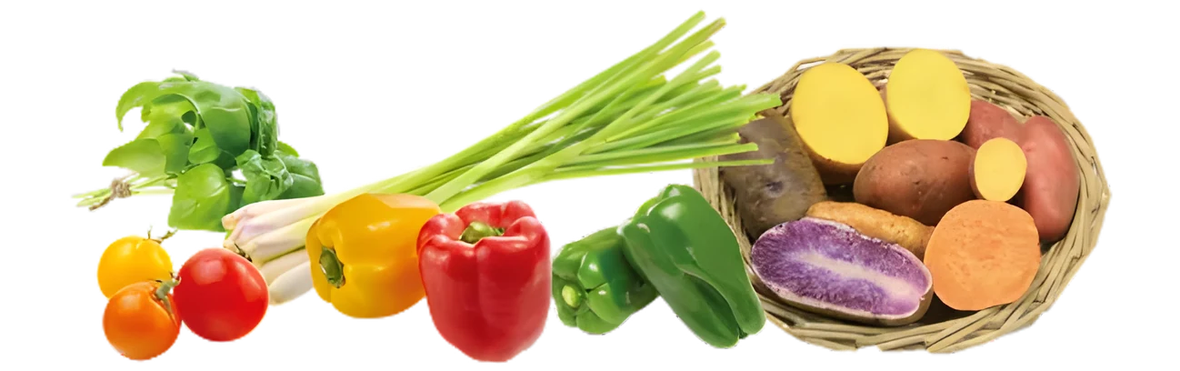 野菜イメージ