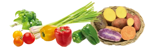 野菜イメージ
