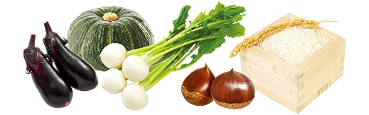 野菜イメージ