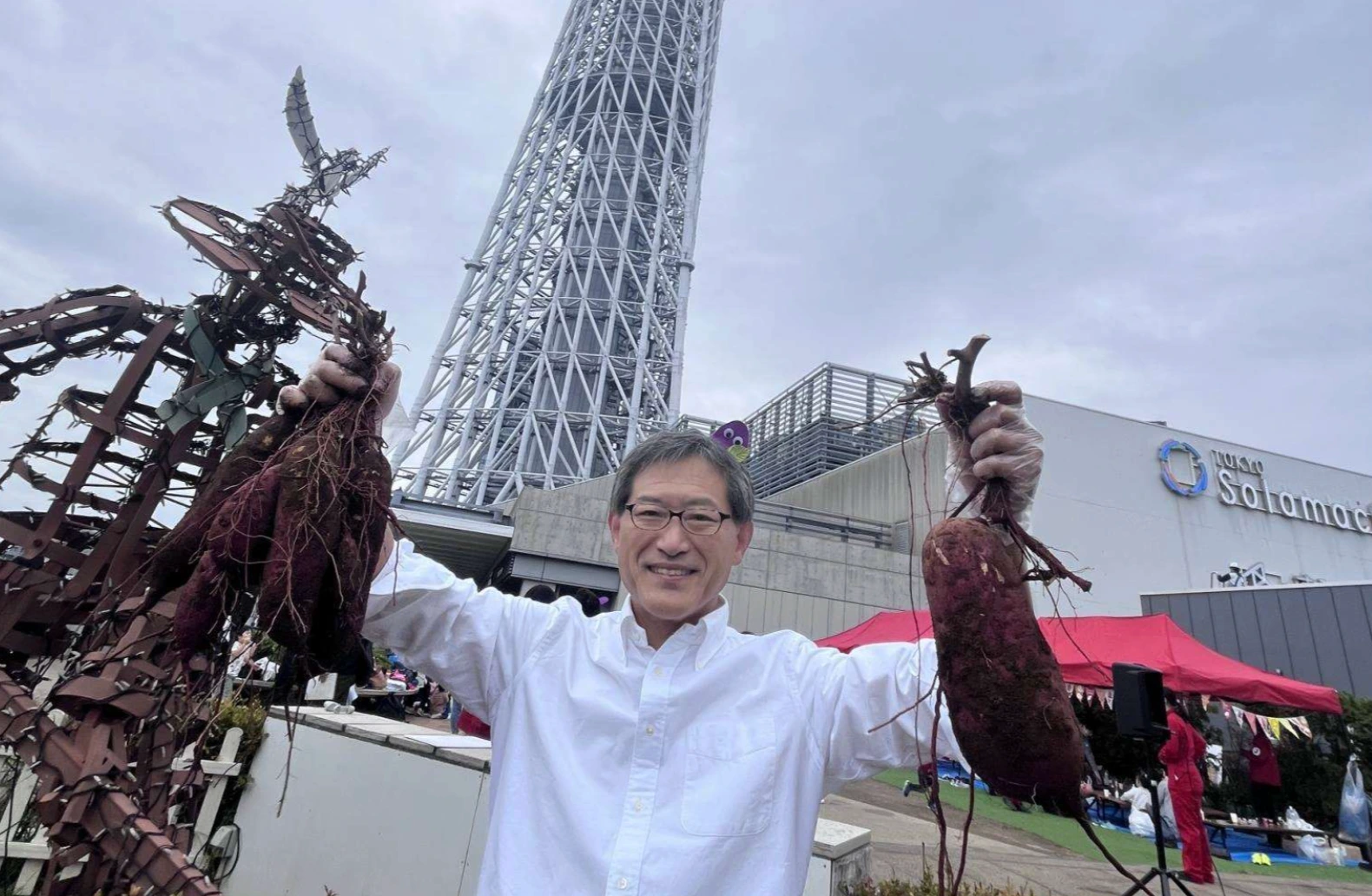 スカイツリー金時（東京都・墨田区）